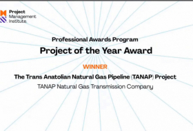 TANAP recibe Project of the Year Award