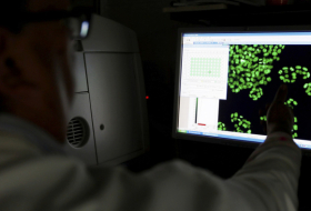 Científicos logran destruir células cancerosas con un novedoso método de 'tijeras microscópicas'