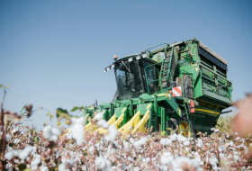 Ministro de Agricultura: “Se produjeron más de 335 mil toneladas de algodón”