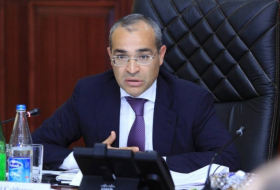   Ministro  : “La financiación del Fondo Estatal de Protección Social de Azerbaiyán con cargo al presupuesto ha disminuido”