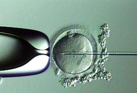El Covid-19 puede afectar negativamente a la fertilidad, especialmente a los hombres