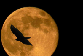 Una aerolínea australiana ofrece un vuelo para observar 'de cerca' la superluna y un eclipse lunar total