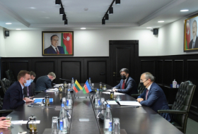   El volumen de comercio entre Azerbaiyán y Lituania aumentó en el primer trimestre de 2021  