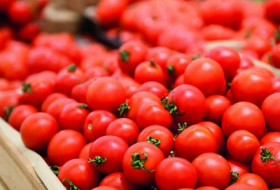 Más empresas azerbaiyanas exportarán tomates a Rusia