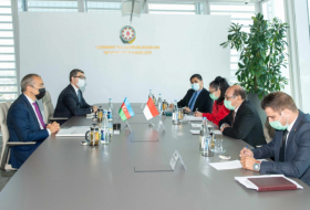   Ministro:  Azerbaiyán e Indonesia tienen oportunidades para el crecimiento de la facturación comercial 