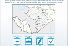Otras 108 minas fueron detectadas en los territorios liberados de Azerbaiyán