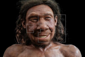 Reconstruido en Países Bajos el rostro del primer neandertal neerlandés