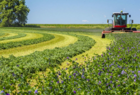 La financiación del sector agrícola crecerá casi un 5% en Azerbaiyán