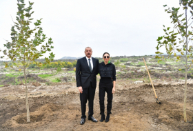   El presidente y la primera dama plantan árbol en Fuzuli   