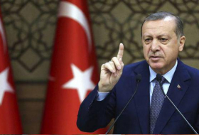   Erdogan efectuará una visita a Azerbaiyán   