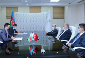 Albayrak Holding tiene la intención de entablar la cooperación con el puerto de Bakú