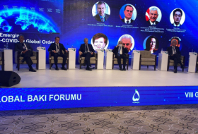  En términos del VIII Foro Global de Bakú se está celebrando el panel de discusiones 