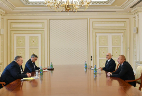  El Presidente Ilham Aliyev recibió al vice primer ministro de Rusia 