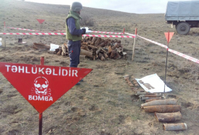   Hasta la fecha, se han limpiado 16.860 minas en Karabaj  
