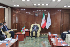   El embajador de Azerbaiyán se reúne con el ministro de Energía iraní   
