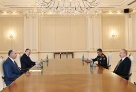  El presidente Ilham Aliyev recibe al ministro de Defensa de Georgia 