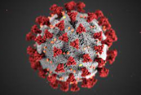 Covid: dos decisivos avances en las próximas vacunas para intentar poner fin a la pandemia
