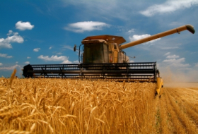 Los territorios liberados de la ocupación pueden tener una participación especial en la producción de trigo y cereales
