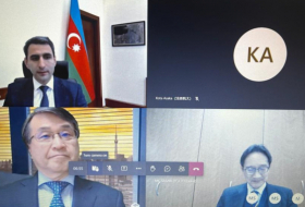 Azerbaiyán y Japón discuten la cooperación en materia de TIC