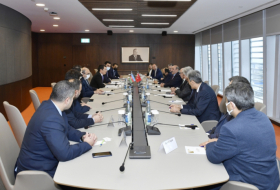 Ministerio de Economía de Azerbaiyán y la Unión de Arquitectos e Ingenieros del Mundo Turco discuten la cooperación bilateral