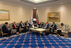 Ministro de Energía de Azerbaiyán sostiene varias reuniones en Qatar