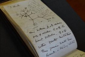 El misterioso regreso de dos cuadernos de Darwin desaparecidos hace 21 años