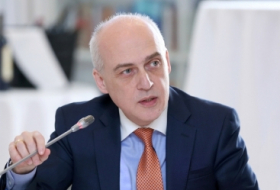   Renuncia el ministro de Relaciones Exteriores de Georgia  