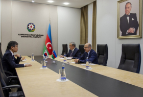 Azerbaiyán y Corea del Sur abordan la cooperación en el ámbito de la energía
