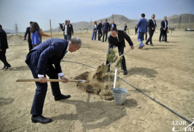 El 30 aniversario de las relaciones diplomáticas entre Azerbaiyán y Pakistán se marcó con una plantación de árboles