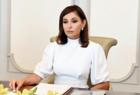   La primera vicepresidenta Mehriban Aliyeva comparte publicaciones sobre su viaje a Shusha  