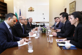 Azerbaiyán y Bulgaria estudian las perspectivas de cooperación en el proyecto del Corredor Sur de Gas