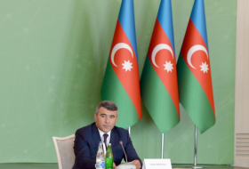 Ministro: “Azerbaiyán concede gran importancia a la cooperación con la FAO para reforzar la resistencia del sistema mundial de seguridad alimentaria”