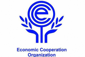   Bakú acogerá la reunión de la Asamblea Parlamentaria de la Organización de Cooperación Económica  