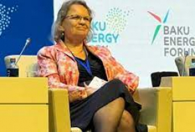     Embajadora  : Los Países Bajos están listos para compartir experiencia en el campo de la energía alternativa con Azerbaiyán  