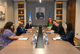   Ministro de Relaciones Exteriores de Azerbaiyán se reúne con el presidente de la Asamblea General de la ONU  