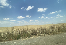   Es hora de cosechar cebada y trigo en los territorios liberados de Fuzuli, dijo el embajador  