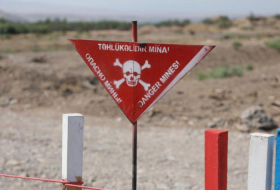   La Defensora del Pueblo de Azerbaiyán hace llamamiento a la comunidad internacional sobre la explosión de mina en Jabrayil  