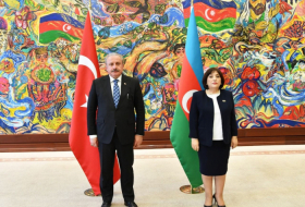 El nivel actual de las relaciones entre Azerbaiyán y Turquía es una nueva manifestación de nuestra unidad y solidaridad