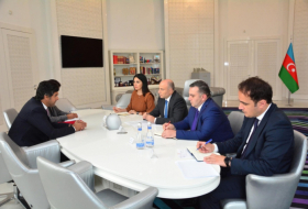 Qatar y Azerbaiyán estudian la cooperación en el ámbito cultural