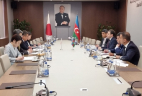Se celebran consultas políticas entre los Ministerios de Asuntos Exteriores de Azerbaiyán y Japón