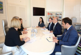 Ministro de Cultura se reúne con el embajador del Reino Unido en Azerbaiyán