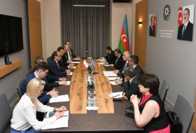 Azerbaiyán y Polonia discuten las perspectivas de cooperación en materia de transporte