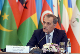   Canciller azerbaiyano  : “El futuro del mundo está en manos de la juventud”