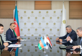 Se discute la ejecución de proyectos conjuntos entre Azerbaiyán y Egipto