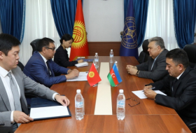 Se esbozan los planes conjuntos para celebrar el 30º aniversario del establecimiento de relaciones diplomáticas entre Azerbaiyán y Kirguistán