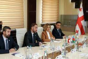   Georgia y Azerbaiyán fortalecen la lucha contra el crimen  
