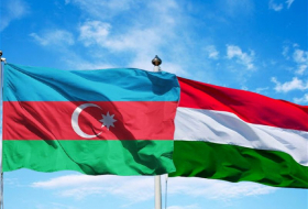 El Ministro de Energía de Azerbaiyán se reúne con el Ministro de Asuntos Exteriores y Comercio de Hungría