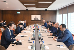 Azerbaiyán y Japón abordan el fomento de la cooperación económica
