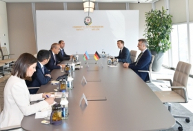 Azerbaiyán y Alemania discuten las direcciones de desarrollo de la asociación económica