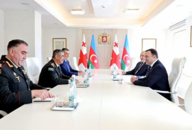   Zakir Hasanov se reunió con Irakli Garibashvili  